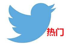 Twitter热门套餐 Twitter热门套餐 - Twitter推广 - Twitter刷赞|Twitter刷播放量 99 Tiktok增粉丝自助平台